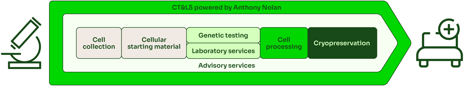 A diagram featuring a microscope on the left and an arrow pointing towards a bed detailing Anthony Nolan's advisory services